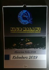 Kalendarz Klubu Malawi na 2019 rok