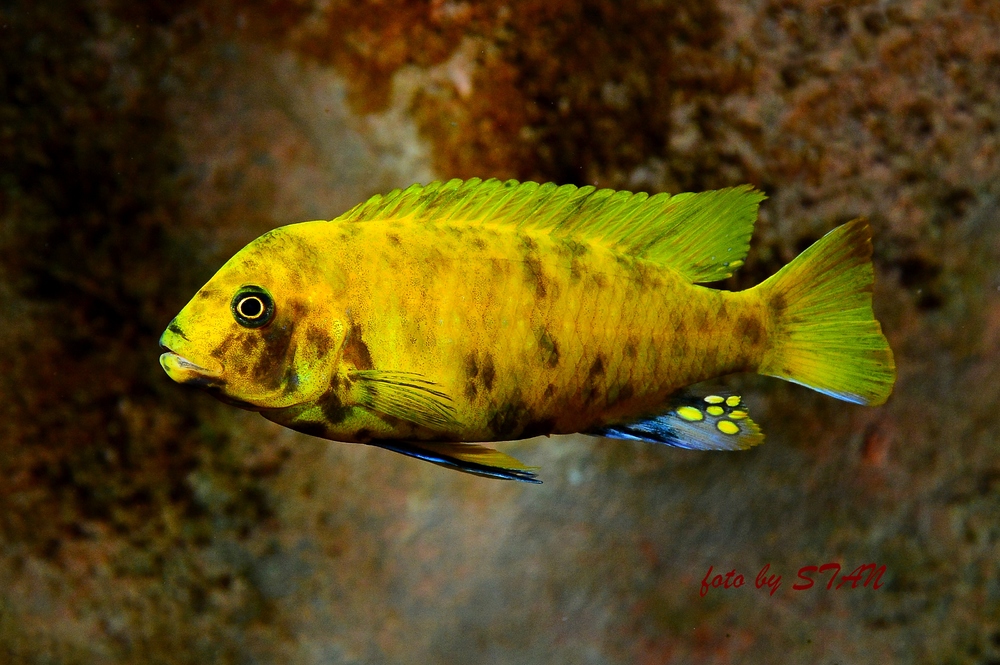 DSC_8332.JPG