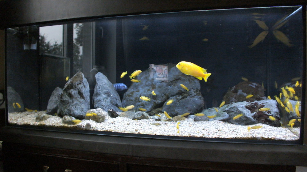 DSCF3876.JPG
