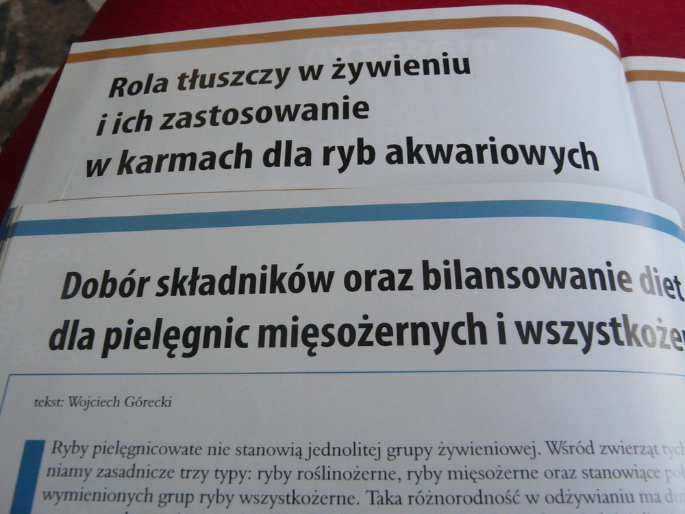 P1100480.JPG