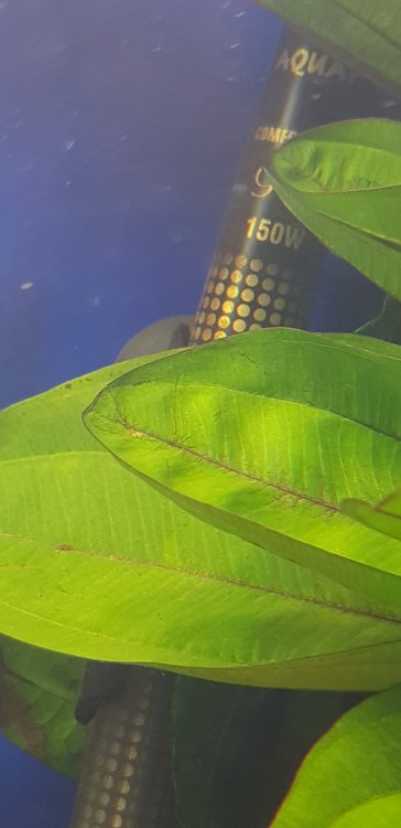 20180625_222436.jpg