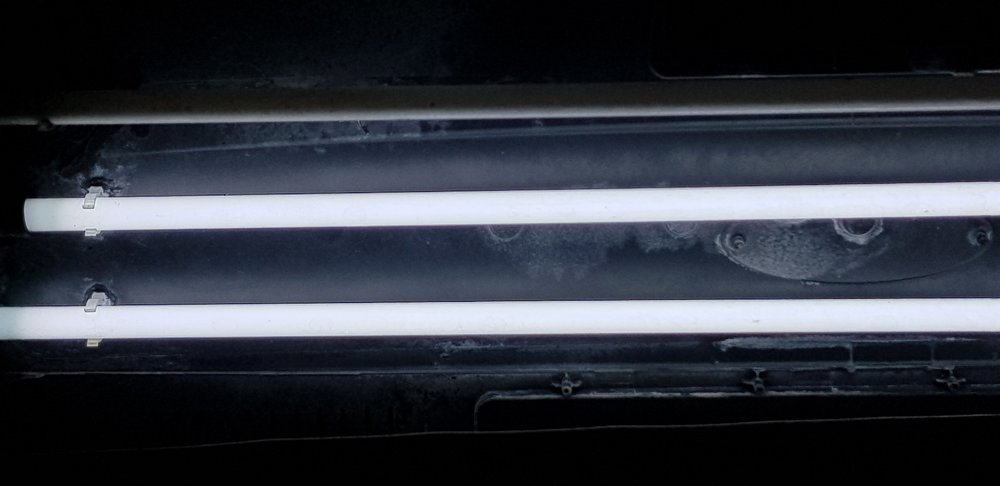20180625_230533.jpg