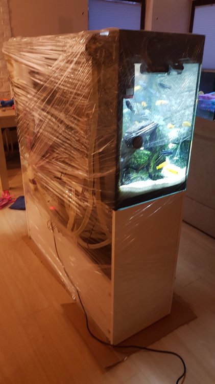 20180708_214156.thumb.jpg.03128ba9be08d9fa4b120d3f30283ae2.jpg