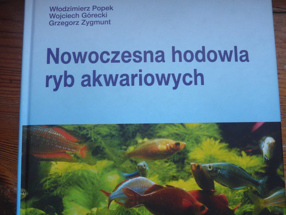 P1110489.JPG