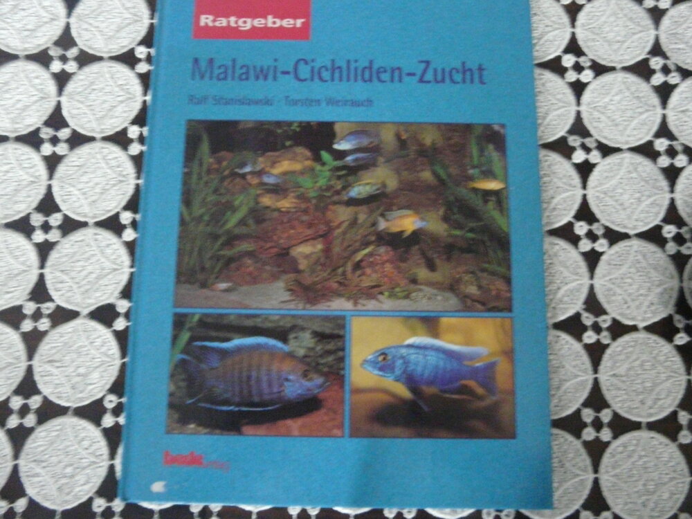 P1120384.JPG