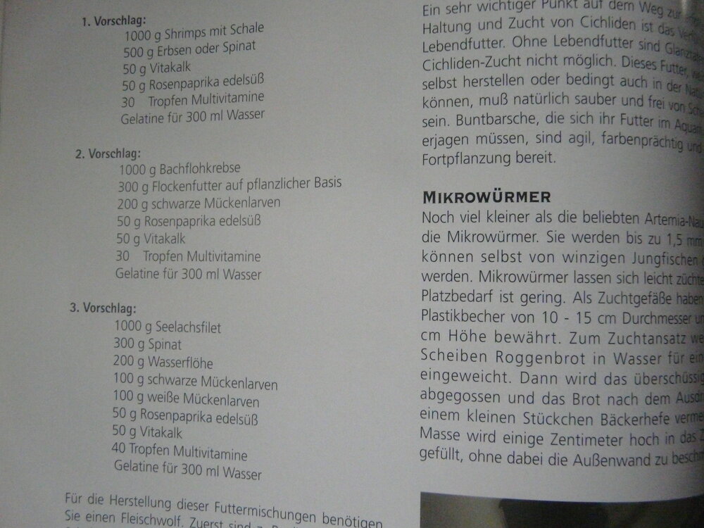 P1120385.JPG