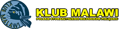 forum.klub-malawi.pl