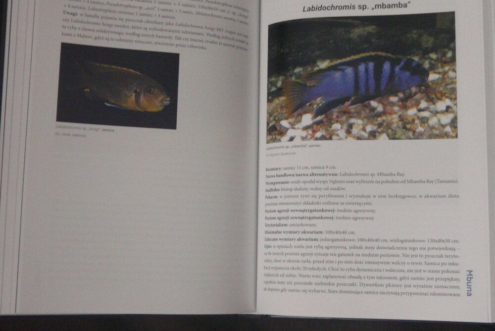 P1120594.JPG