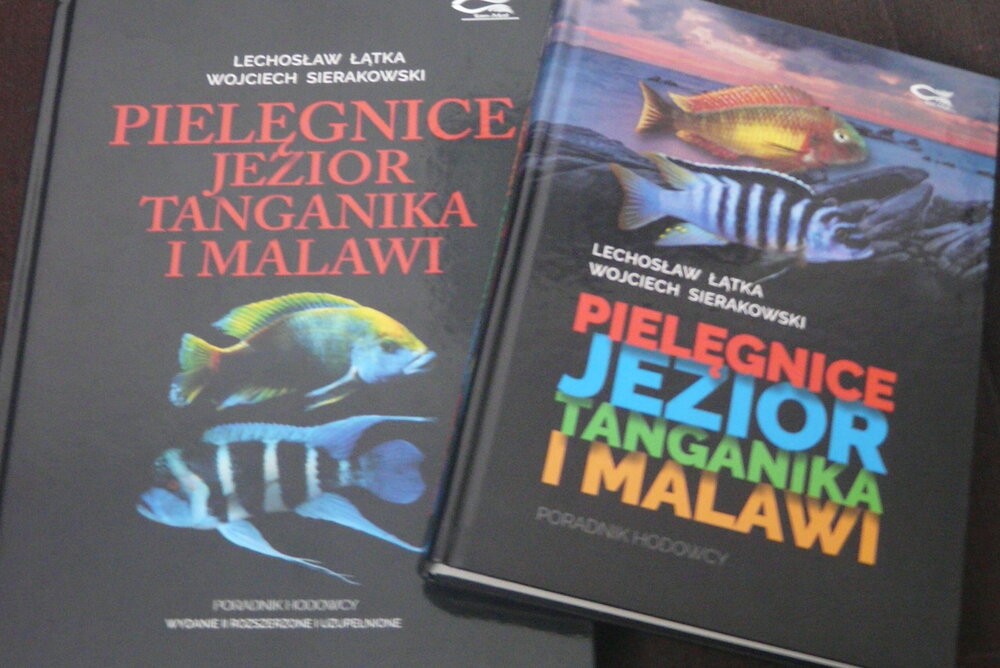 P1120595.JPG