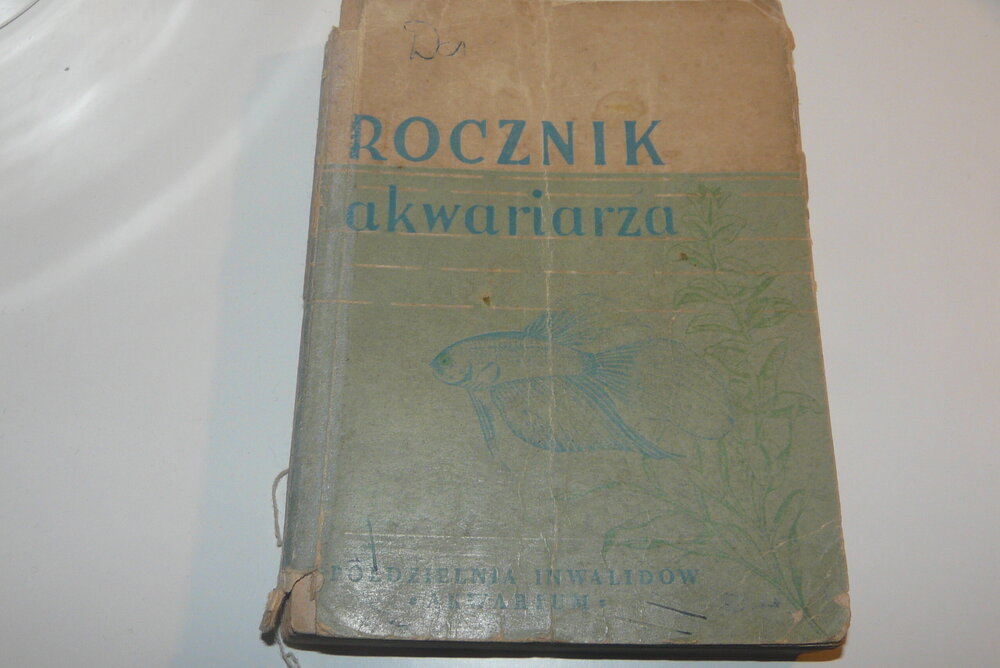 P1120598.JPG