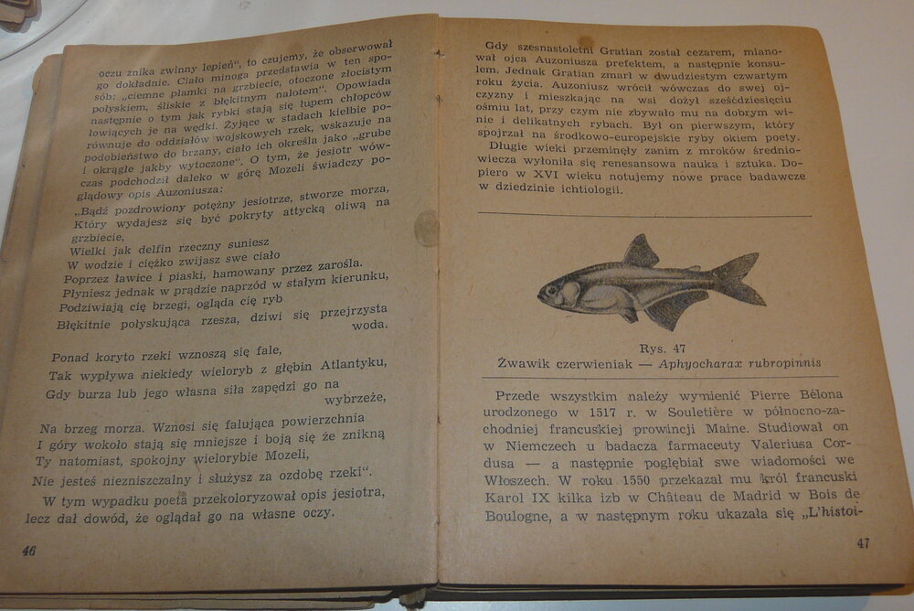 P1120599.JPG