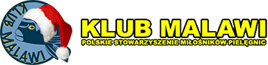 forum.klub-malawi.pl