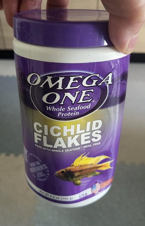 oo.jpg
