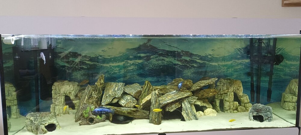 akwarium1.jpg