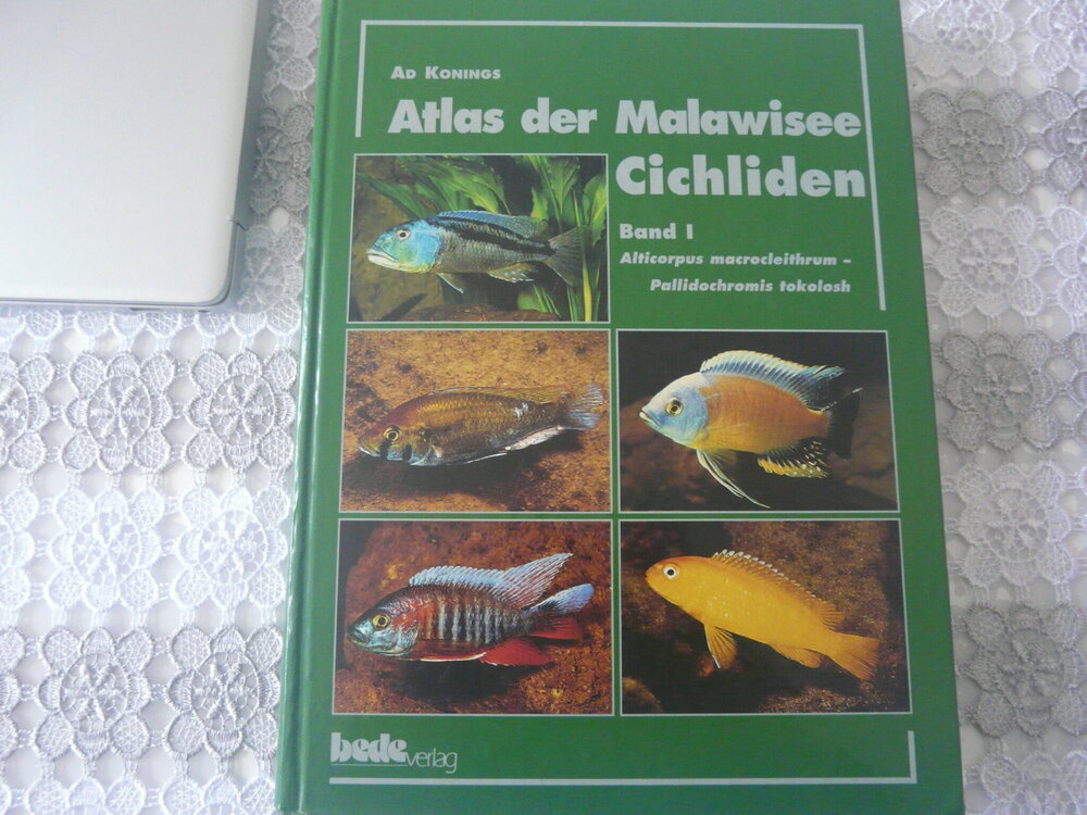P1120648.JPG