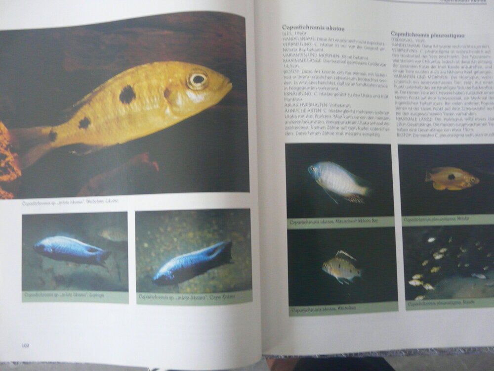 P1120649.JPG