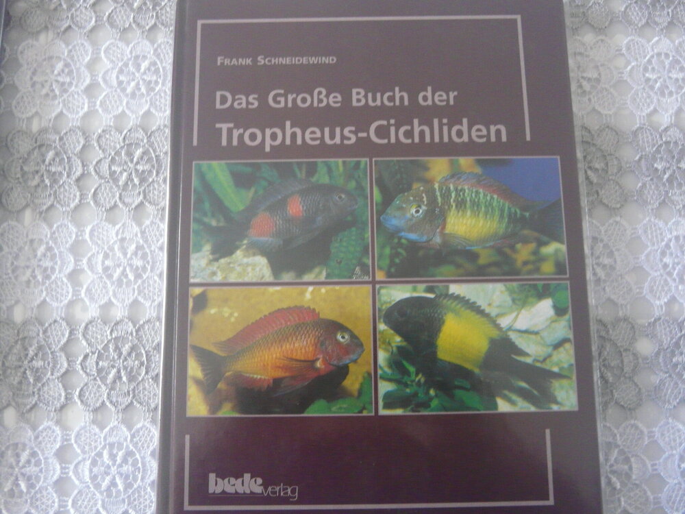 P1120654.JPG