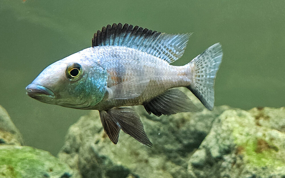 20260922_144334.jpg