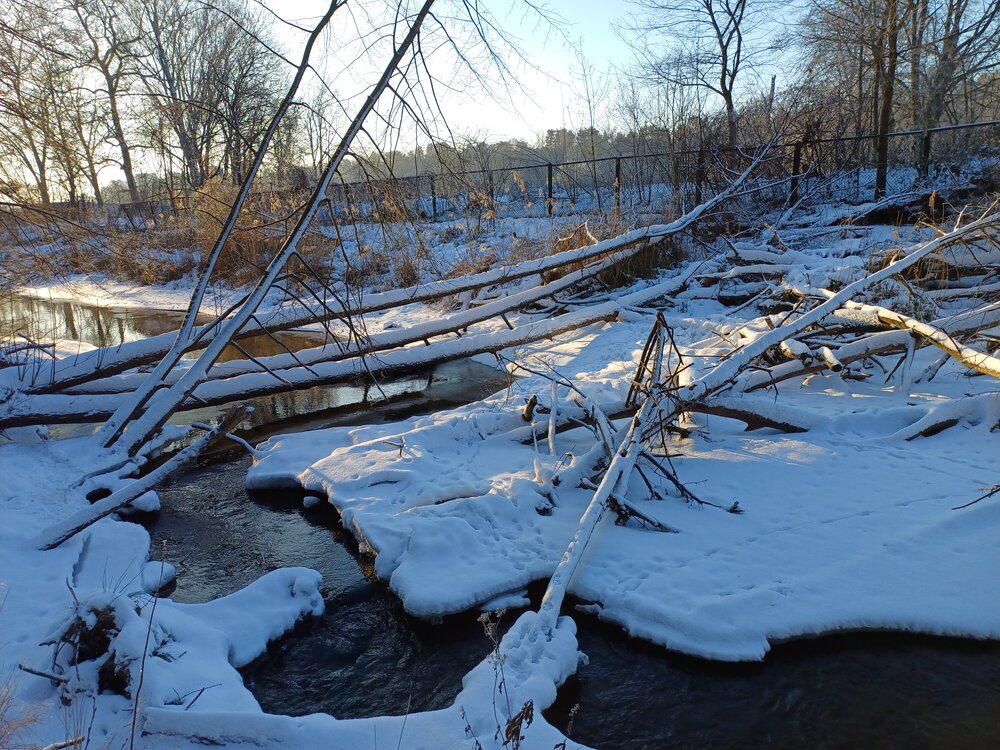 20240121_085215.jpg