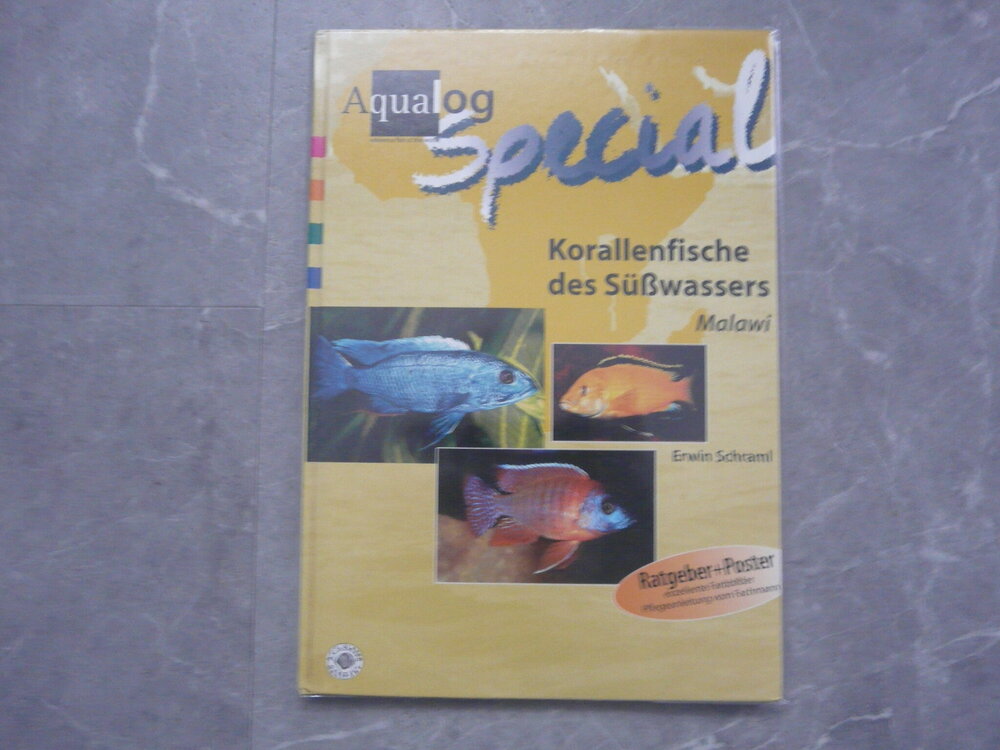 P1120657 1.jpg